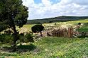 Carthage - Ain Jouggar 100_6285